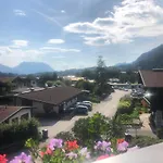 Breitenlohner